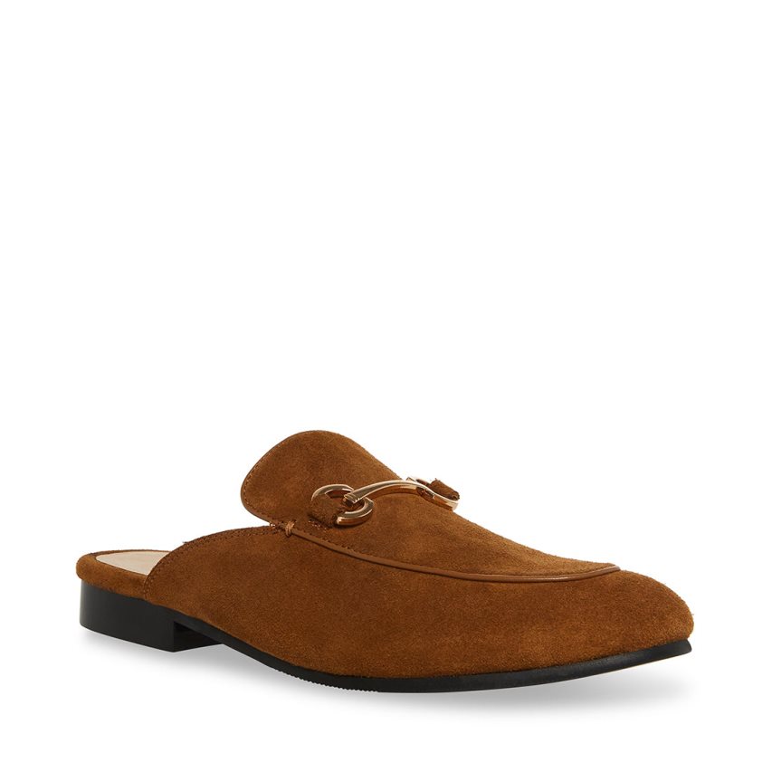 Mulas Steve Madden Mateo Gamuza Hombre Marrones | ES HV9E60